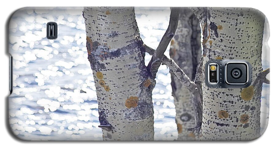 Tree Galaxy S5 Case featuring the photograph Silver birch trees at a sunny lake by Heiko Koehrer-Wagner