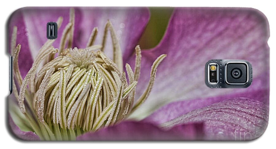Digital Photographs Galaxy S5 Case featuring the photograph Simple Clematis by Laurinda Bowling