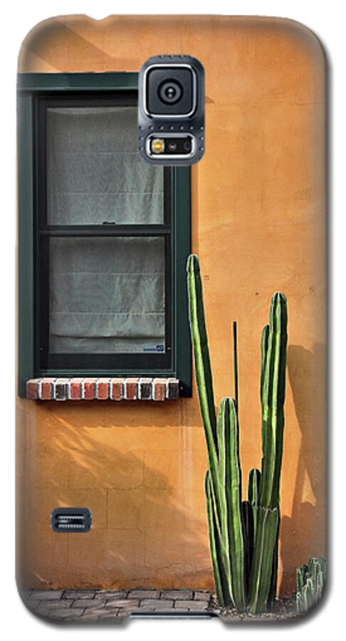 Tucson Galaxy S5 Case featuring the photograph Simple Design by Barbara Manis