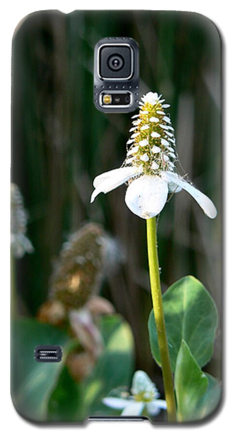 Flower Galaxy S5 Case featuring the photograph Simple Flower by Laurel Powell