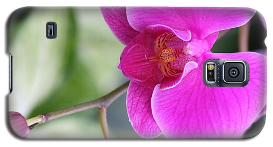 Floral Galaxy S5 Case featuring the photograph Simply Delicate Pink Orchid by Mary Lou Chmura