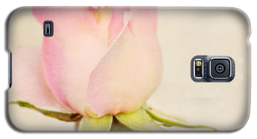 Rose Galaxy S5 Case featuring the photograph Single baby pink rose by Lyn Randle