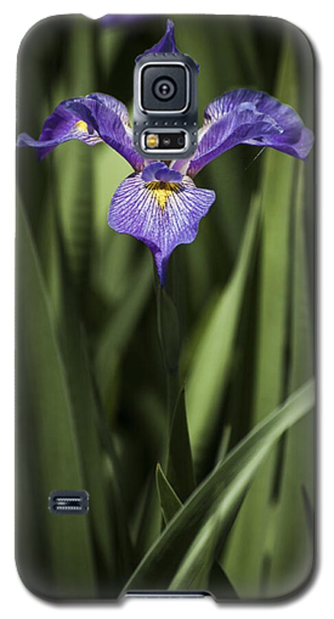 Single Iris Galaxy S5 Case featuring the photograph Single Iris by Penny Lisowski