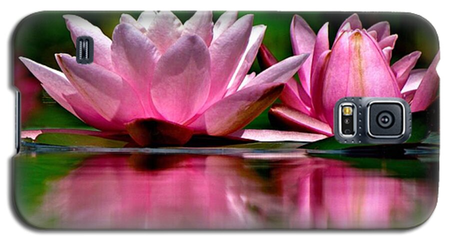 Waterlily Galaxy S5 Case featuring the photograph Sisters by Carol Montoya