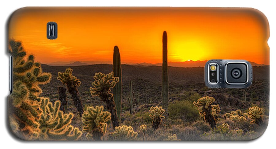 Cholla Galaxy S5 Case featuring the photograph Skyfire Cholla by Anthony Citro