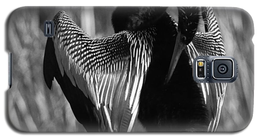 Snake Bird Galaxy S5 Case featuring the photograph Snake Bird by Daniel Woodrum