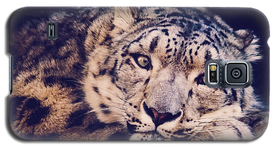 Snow Leopard Galaxy S5 Case featuring the photograph Snow Leopard by Sara Frank