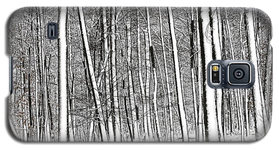 Black And White Galaxy S5 Case featuring the photograph Snow Trees by Dawn J Benko