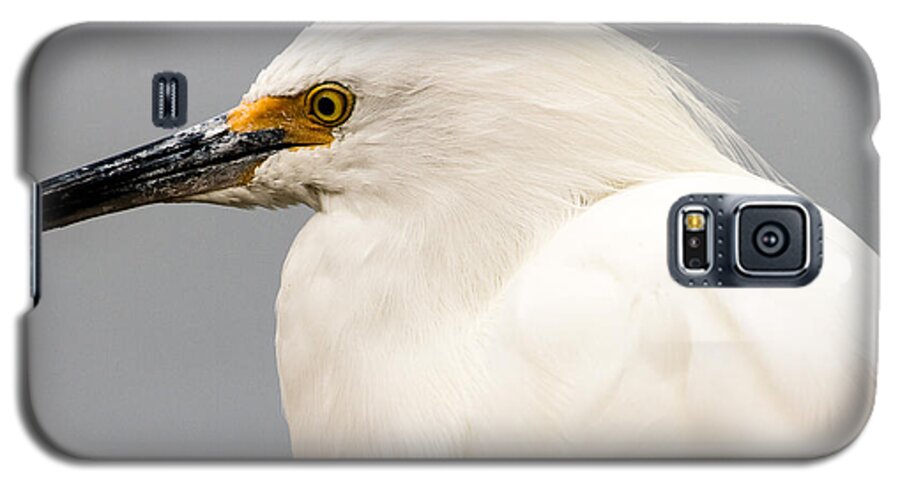 Snowy Egret Galaxy S5 Case featuring the photograph Snowy Egret Profile by Ben Graham