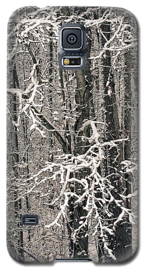 Landscape Galaxy S5 Case featuring the photograph Snowy Woods by Carol Whaley Addassi