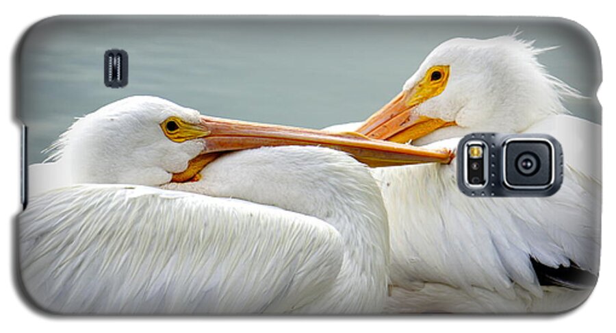 White Pelicans Galaxy S5 Case featuring the photograph Snuggly Pelicans by Laurie Perry