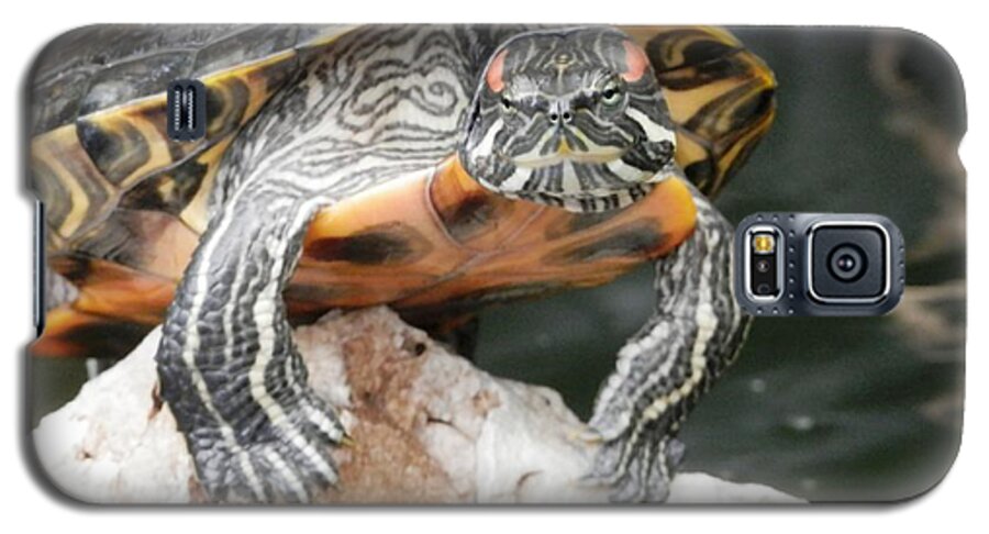 I Am A #pond #turtle Tommy And I Have Nowhere Left To #tattoo. Everything Is In Place I Am Happy With My Color Galaxy S5 Case featuring the photograph So My Girlfriend Thinks I Need Another Tattoo by Belinda Lee