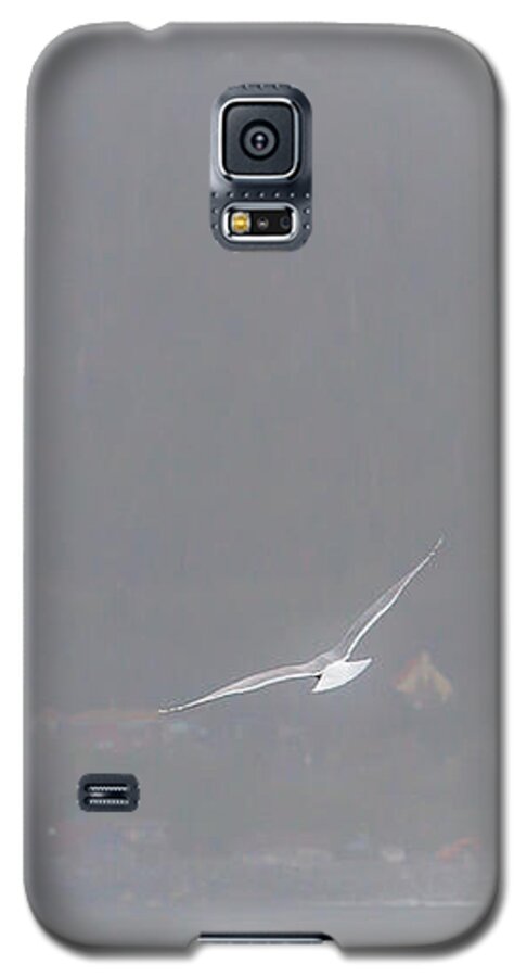 2008 Galaxy S5 Case featuring the photograph Soaring Home by Melinda Ledsome