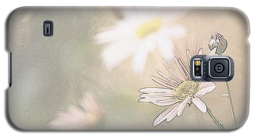 Flowers Galaxy S5 Case featuring the photograph Soft Aster by Tammy Schneider