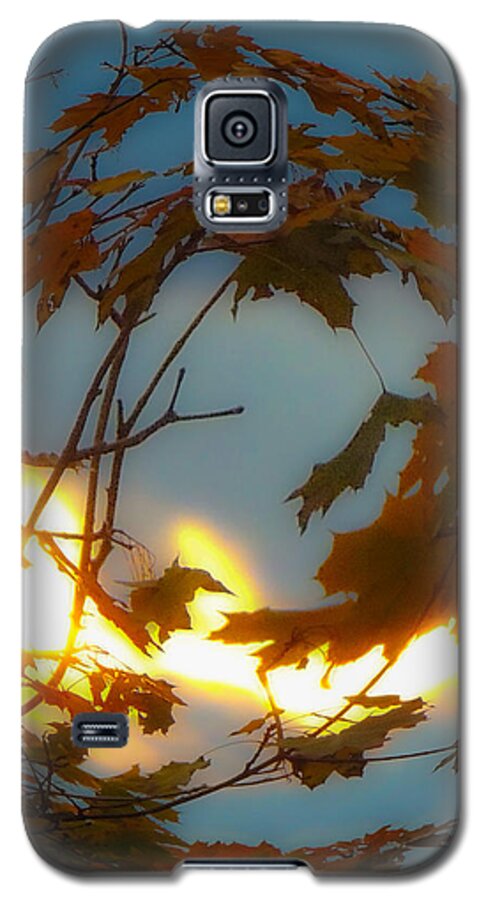 Fall Galaxy S5 Case featuring the photograph Soft Autumn Dawn by Glenn Feron