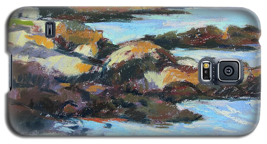 Kennebunkport Galaxy S5 Case featuring the painting Soft Rocks At Kennebunkport by Linda Novick
