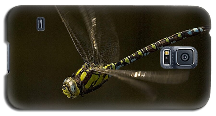 Dragonfly Galaxy S5 Case featuring the photograph Southern Hawker dragonfly in flight by Tony Mills