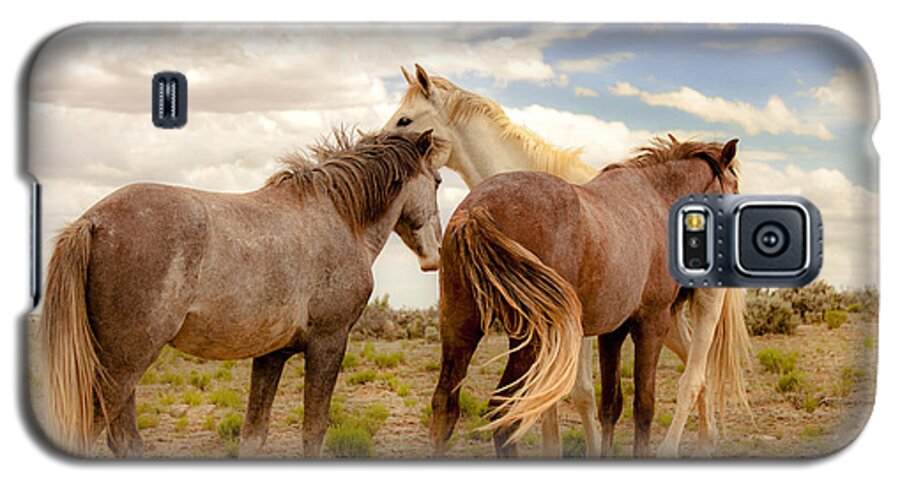 Southwest Wild Horses With White Stallion On Navajo Indian Reservation In New Mexico Galaxy S5 Case featuring the photograph Wild Horses With White Stallion On Navajo Indian Reservation by Jerry Cowart