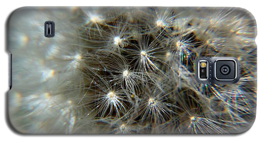 Dandelion Galaxy S5 Case featuring the photograph Sparkler - Closeup by Ramabhadran Thirupattur