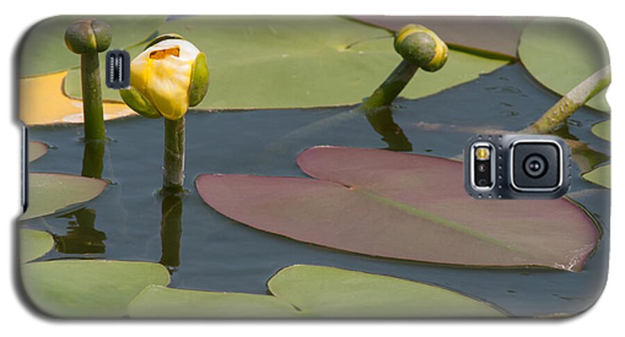Spatterdock Galaxy S5 Case featuring the photograph Spatterdock Heart by Paul Rebmann