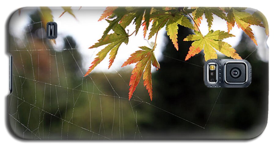 Flora Galaxy S5 Case featuring the photograph Spider-web anchors by Gerry Bates