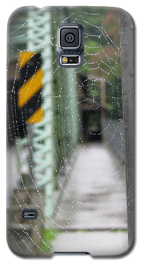 Spider Web Galaxy S5 Case featuring the photograph Spider Web by Michael Krek