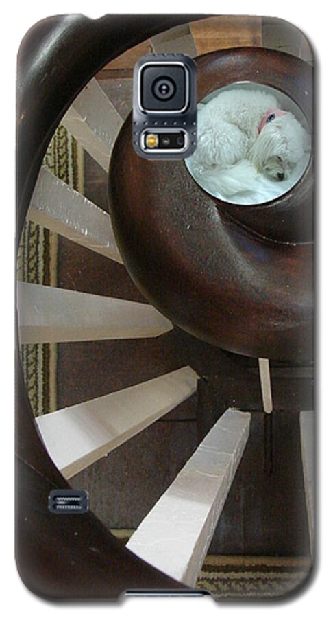 Sleep Galaxy S5 Case featuring the photograph Spiral Railing and Puppy by Mary Beth Landis