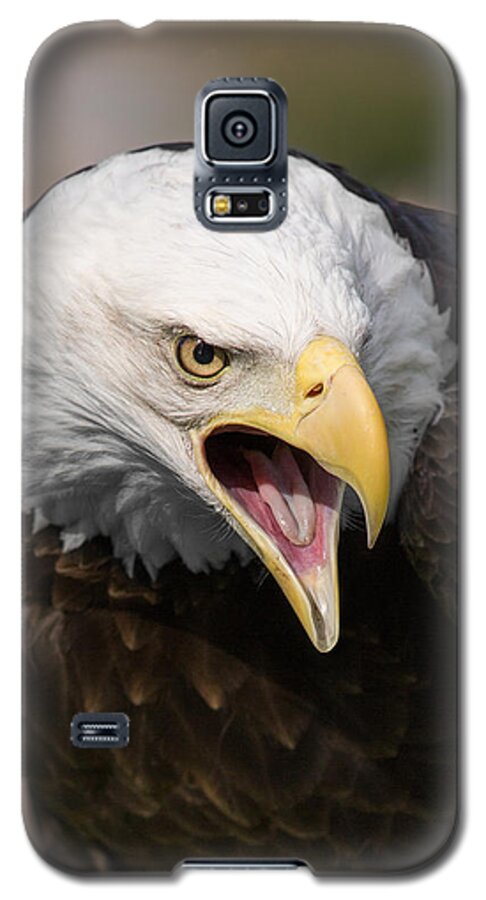 Bald Eagle Galaxy S5 Case featuring the photograph Spiritual Quintessence by Dale Kincaid