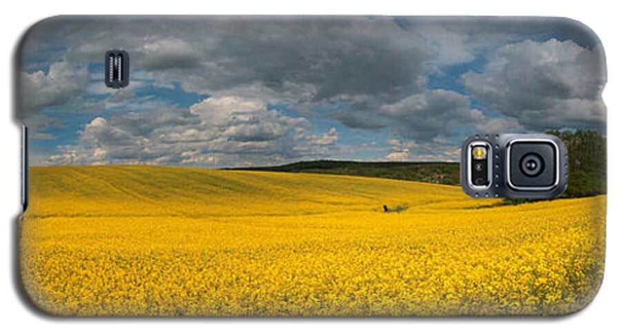 Landscape Galaxy S5 Case featuring the photograph Spring at oilseed rape field by Davorin Mance