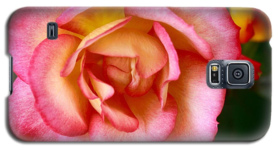Flower Galaxy S5 Case featuring the photograph Spring Beauty by Joan Bertucci