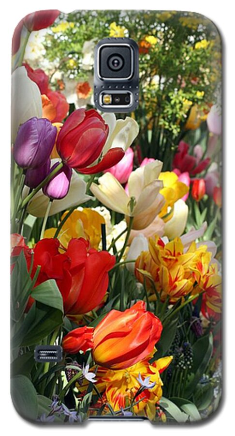 Tulips Galaxy S5 Case featuring the photograph Spring Bulb Bonanza by Mary Lou Chmura