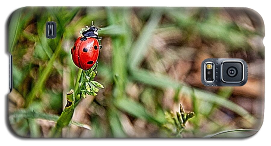 Lady Bug Galaxy S5 Case featuring the photograph Spring Lady by Ken Williams