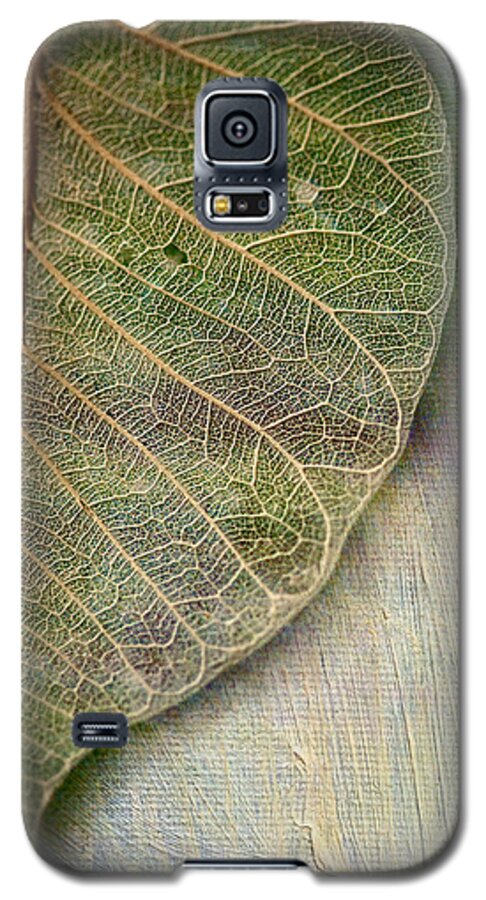 Skeletal Leaf Galaxy S5 Case featuring the photograph Spring Leaf by Bonnie Bruno