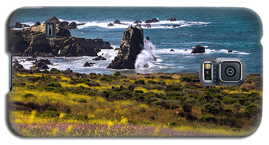 Art Galaxy S5 Case featuring the photograph Spring on the California Coast By Denise Dube by Denise Dube