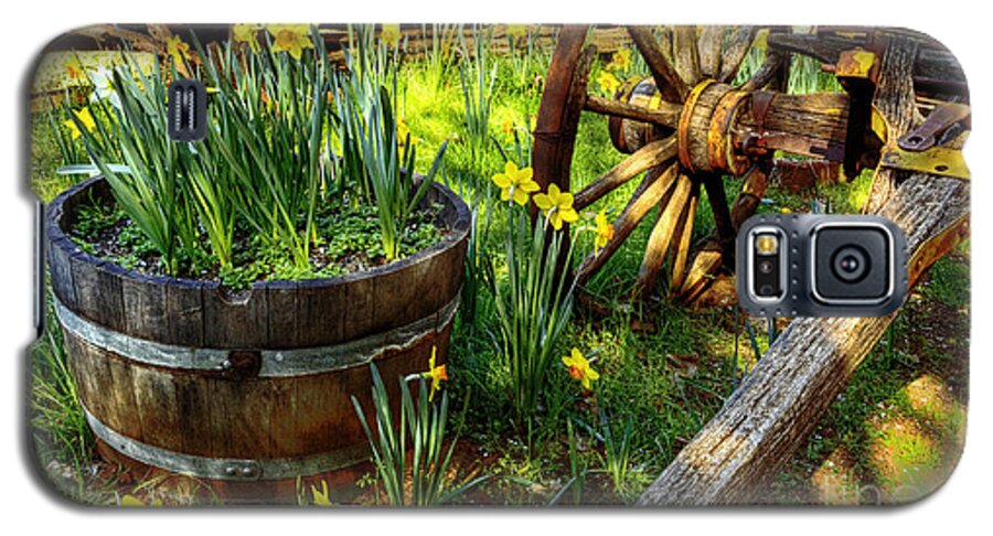 Daffodil Hill Galaxy S5 Case featuring the photograph Spring Time by Paul Gillham