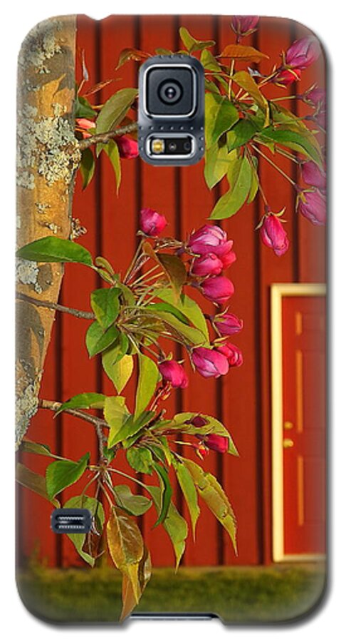 Blossoms Galaxy S5 Case featuring the photograph Spring by Viviana Nadowski