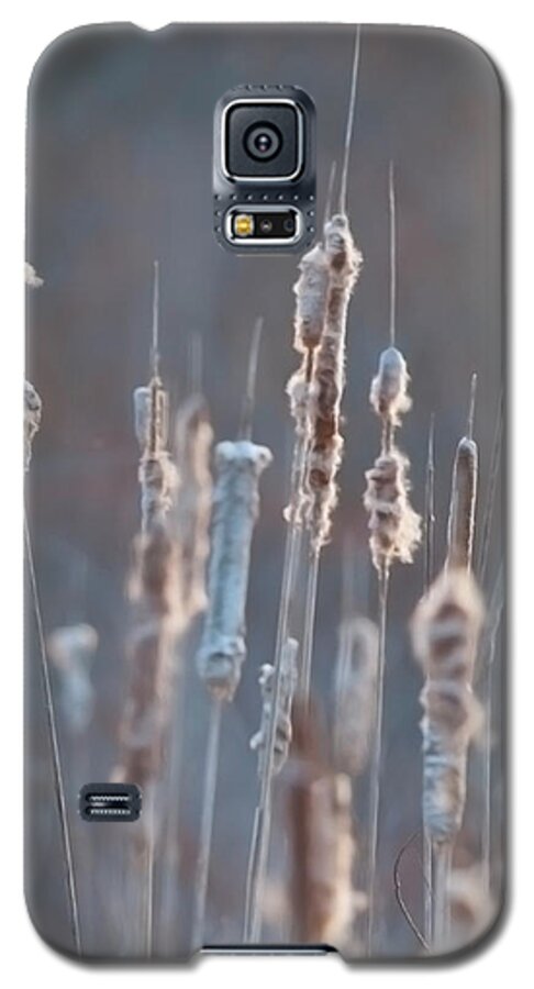 Festblues Galaxy S5 Case featuring the photograph Spring Whisper... by Nina Stavlund