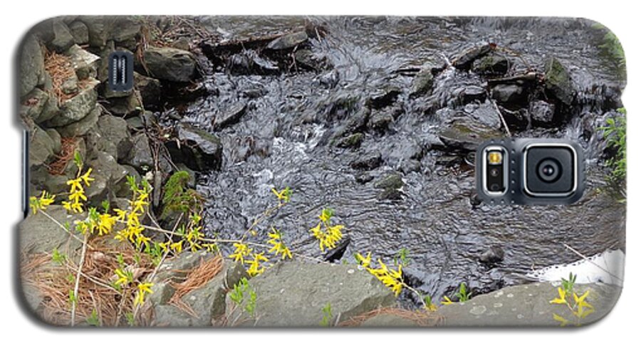 Creek Galaxy S5 Case featuring the photograph Springtime Creek by Christina Verdgeline
