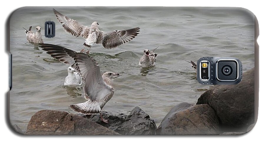 Bird Galaxy S5 Case featuring the photograph Squabbling Gulls by Patricia Overmoyer