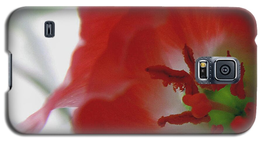 Flower Galaxy S5 Case featuring the photograph Stamen Splendor by Suzy Piatt
