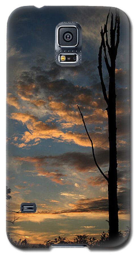 Tree Galaxy S5 Case featuring the photograph Standing Tall Among the Trees by Karen Harrison Brown