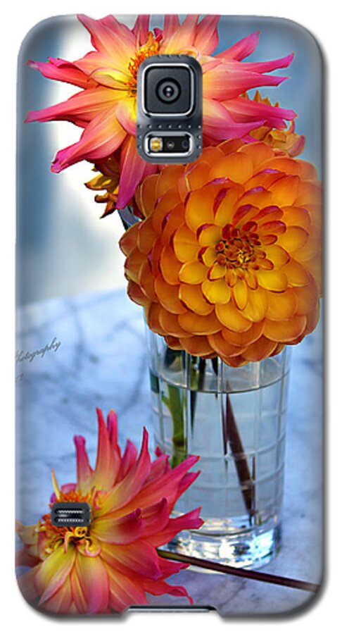 Dahlia Galaxy S5 Case featuring the photograph Starfire by Jeanette C Landstrom