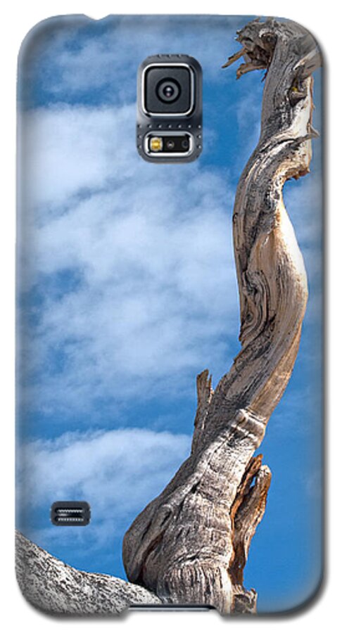 Olmsted Point Galaxy S5 Case featuring the photograph Still Standing #2 by Joe Schofield