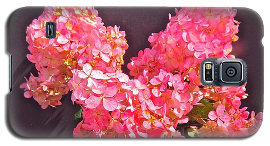 Flora Galaxy S5 Case featuring the photograph Strawberry Cream by Randy Rosenberger