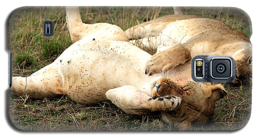 Lion Galaxy S5 Case featuring the photograph Stuffed by Aidan Moran