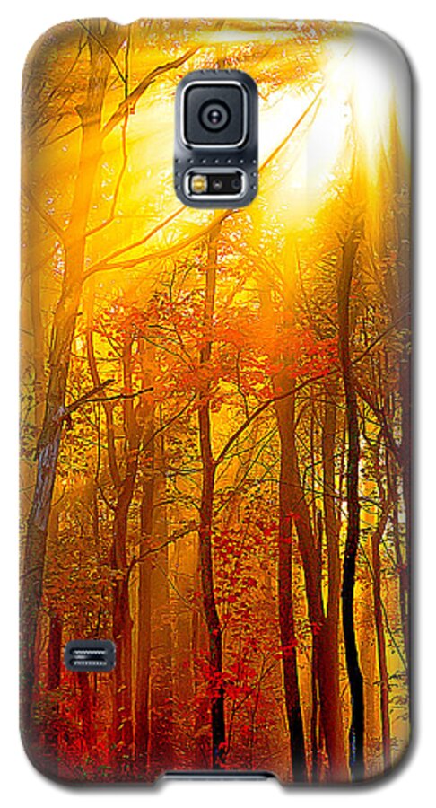 Sunburst Galaxy S5 Case featuring the photograph Sunburst In The Forest by Randall Branham