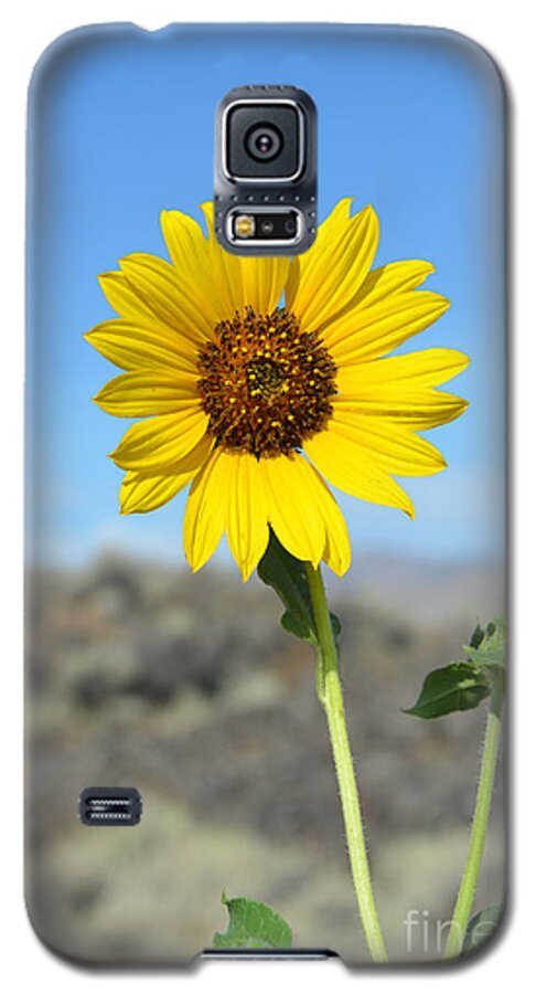 Sunflower Galaxy S5 Case featuring the photograph Sunflower by Craters Of The Moon by Debra Thompson