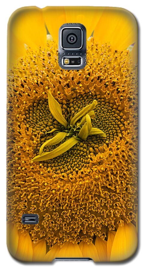 Sunflower Galaxy S5 Case featuring the photograph Sunflower by Sue Leonard