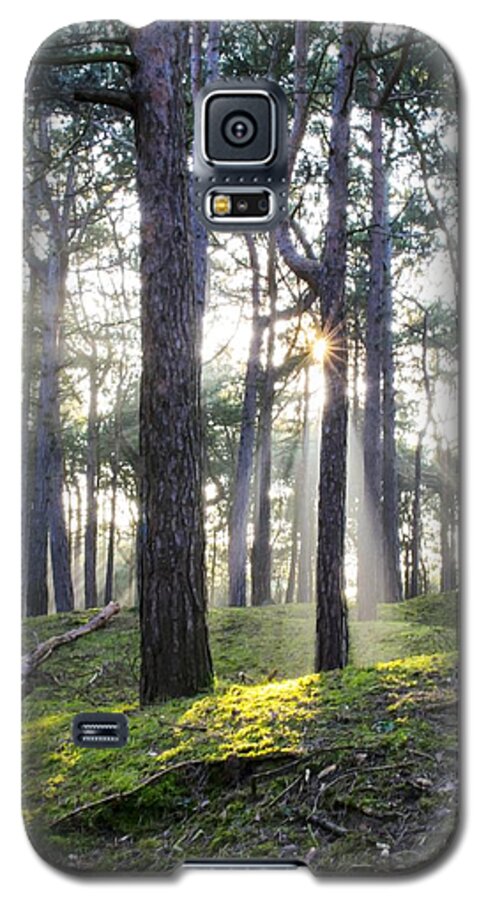 Trees Galaxy S5 Case featuring the photograph Sunlit Trees by Spikey Mouse Photography