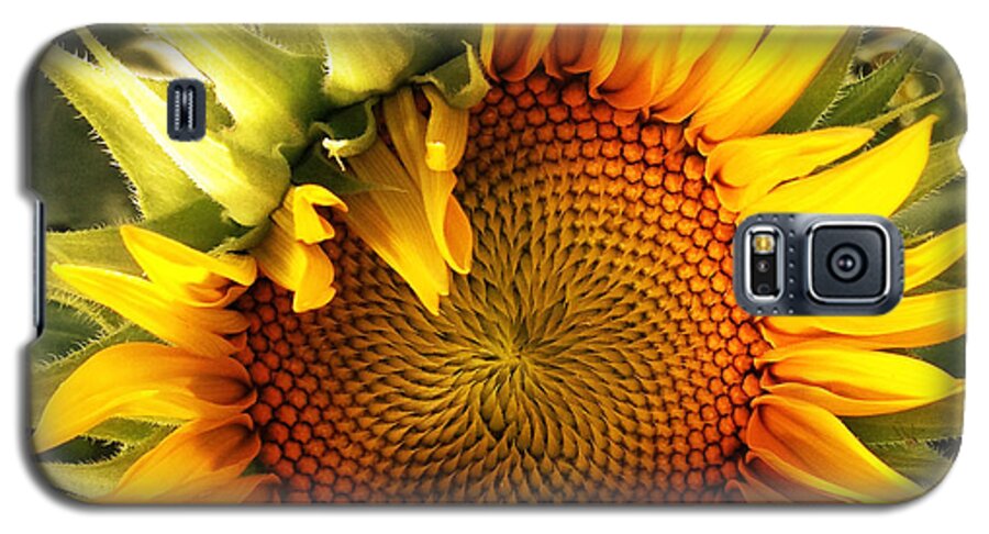 Sunflowers Galaxy S5 Case featuring the photograph Sunny Sunflower by Chris Scroggins